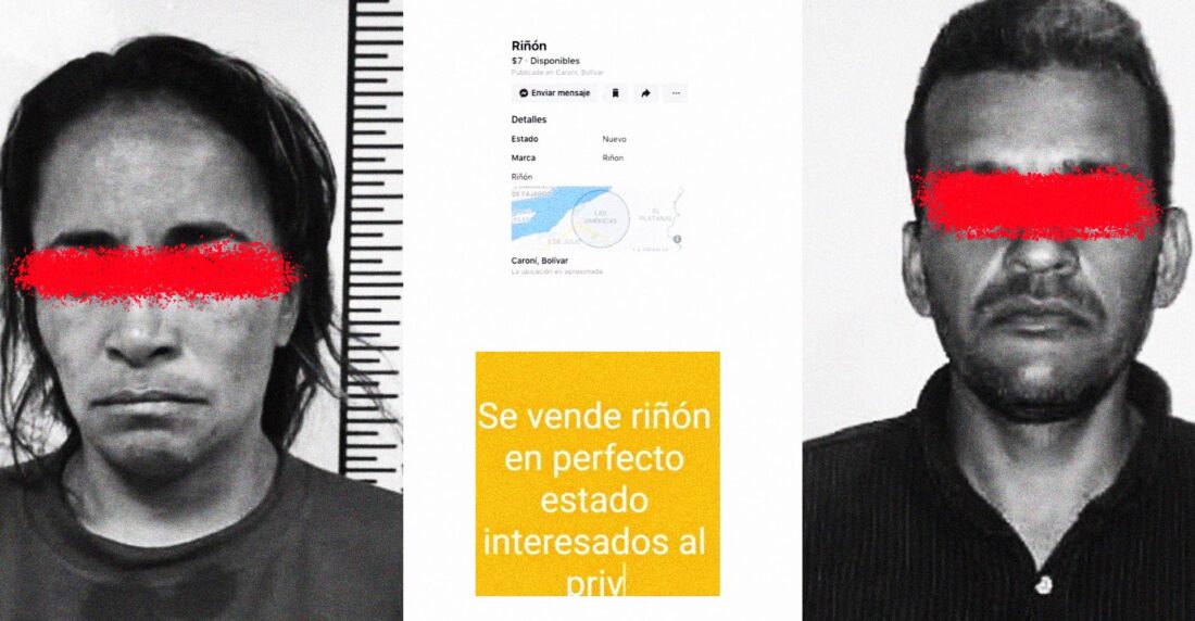 venta órganos internet