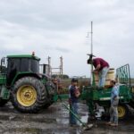 Fertilizantes