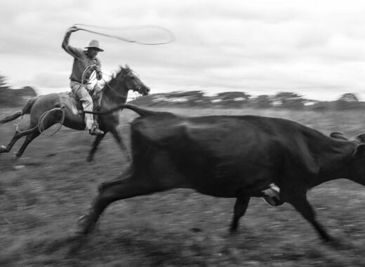 llano