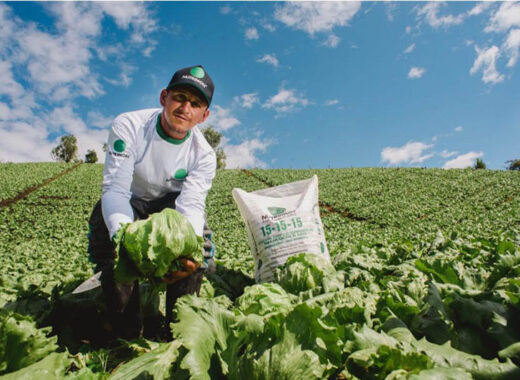 Monómeros, objeto del deseo colombiano
