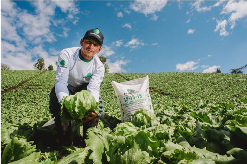 Monómeros, objeto del deseo colombiano