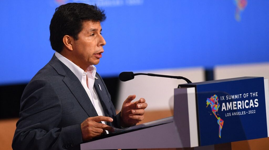 Hijo de pedro castillo congreso peruano