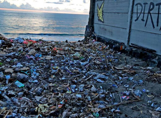 plásticos Océanos El cerebro es el gran receptor de microplásticos en el cuerpo humano