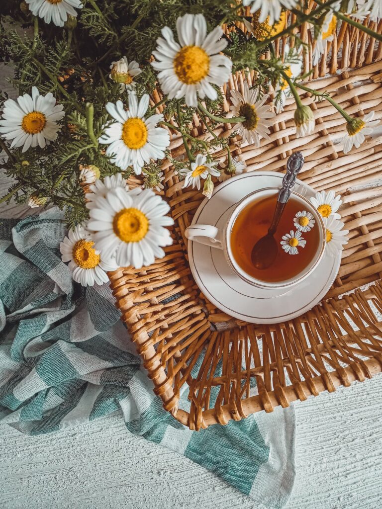 infusiones