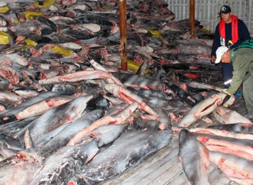 China abusa de los mares americanos IPS