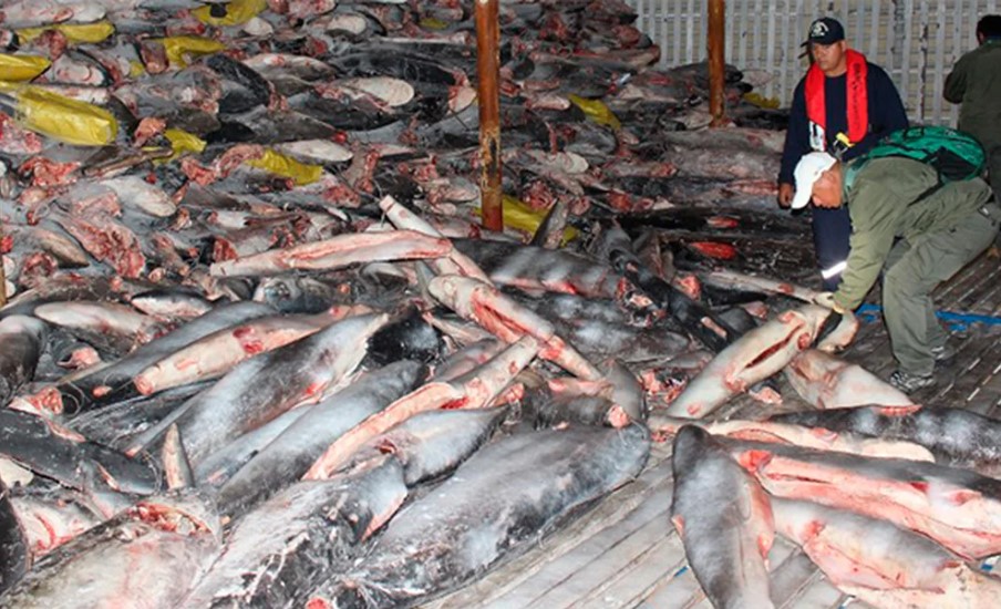 China abusa de los mares americanos IPS