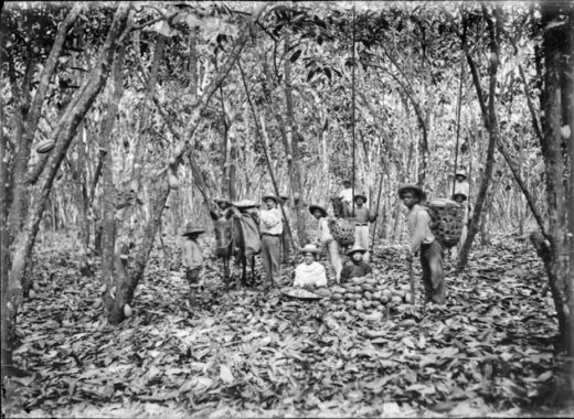 Provincia de Barquisimeto