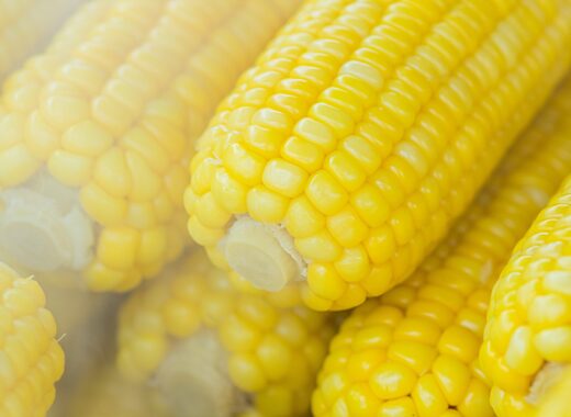 alimentos carbohidratos