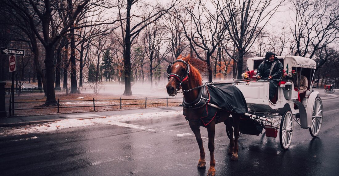 carruajes tirados por caballos en nueva york