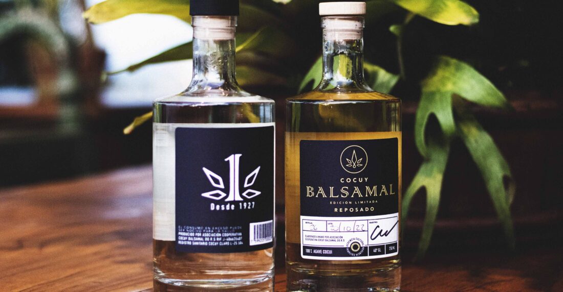 cocuy balsamal