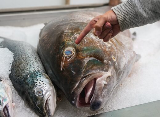 pescados