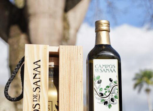 campos de sanaa