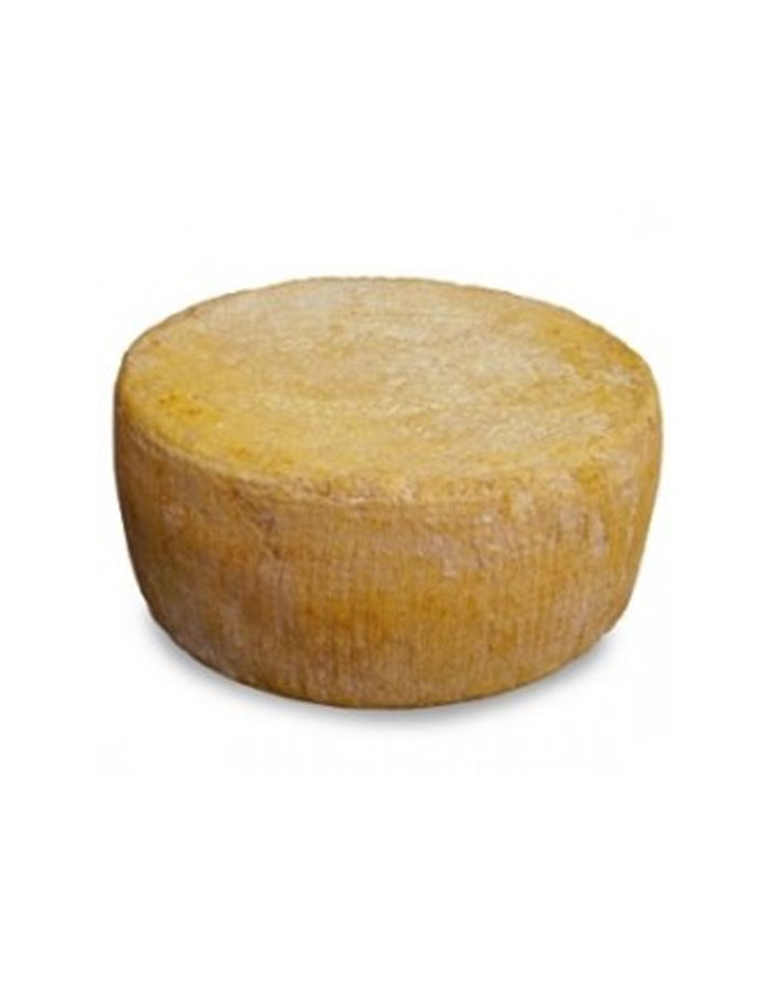 parmesano o pecorino
