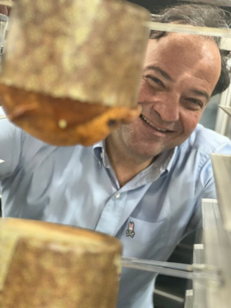panettone