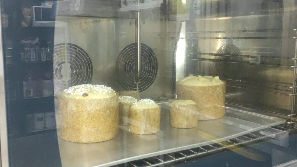 panettone