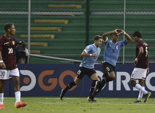 Vinotinto