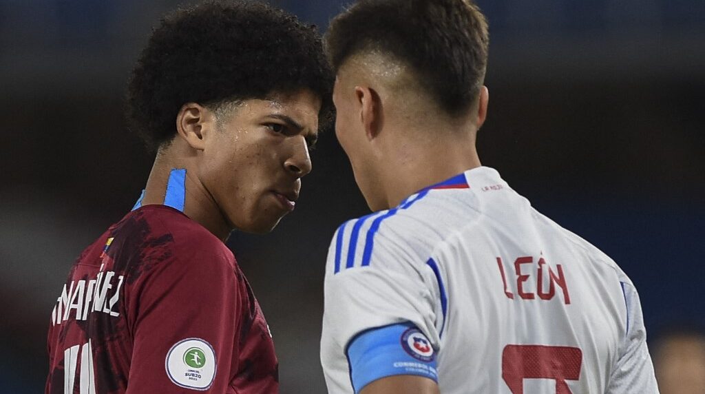 vinotinto