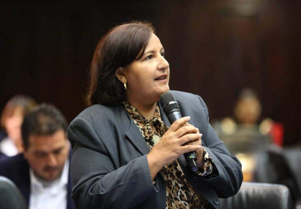 Dinorah Figuera asegura no representar un desafío para la oposición venezolana