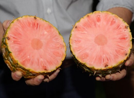 piña rosada