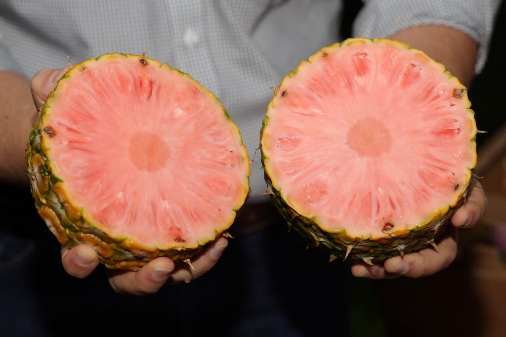 La piña rosada, un exótico manjar de Costa Rica | Bienmesabe