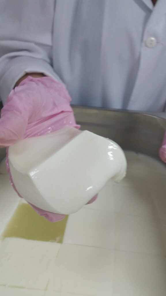queso venezolano quesos venezolanos