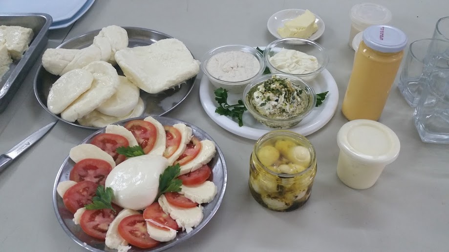 queso venezolano