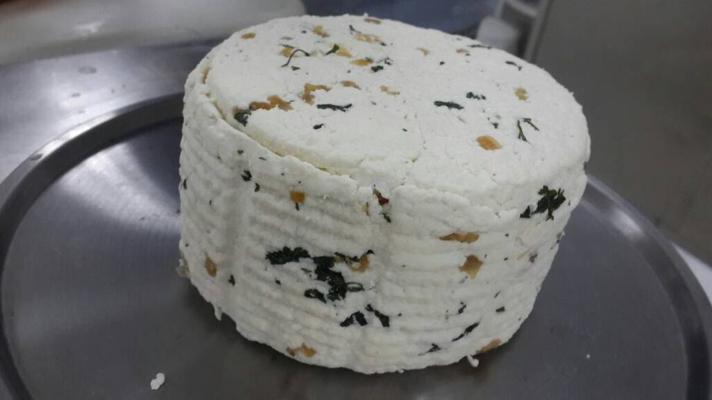 queso venezolano
