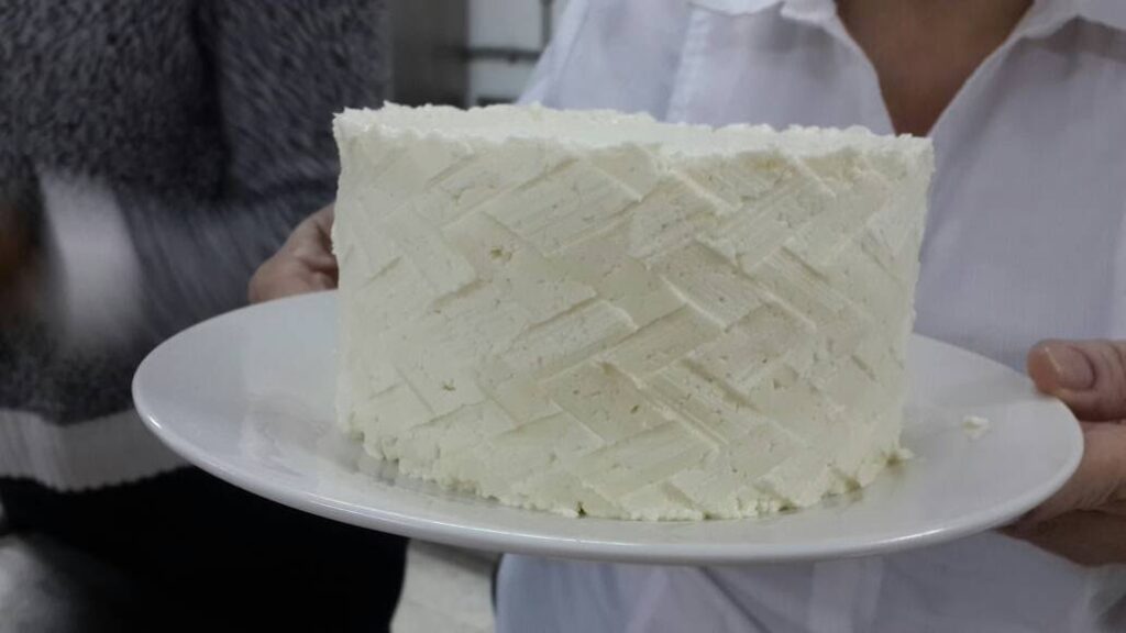 queso quesos 