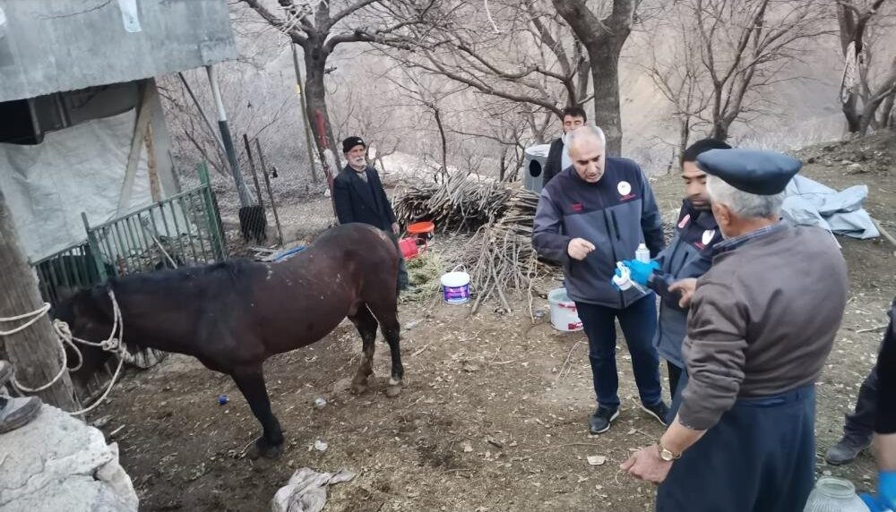 caballo