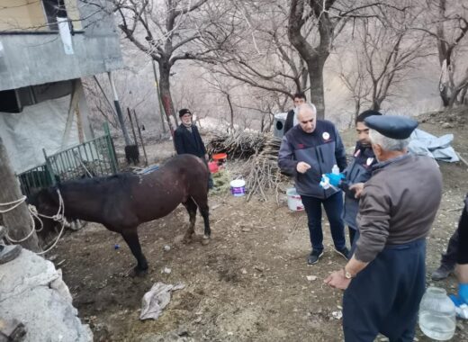 caballo