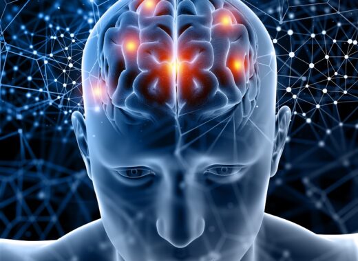 psicoinmunoterapia Potencia tu cerebro: la clave está en lo que comes