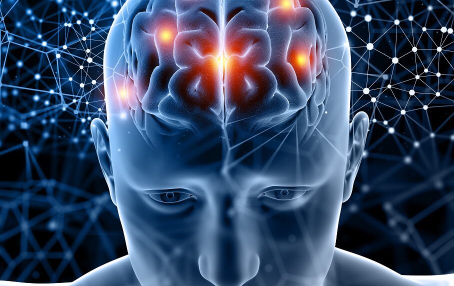 psicoinmunoterapia Potencia tu cerebro: la clave está en lo que comes