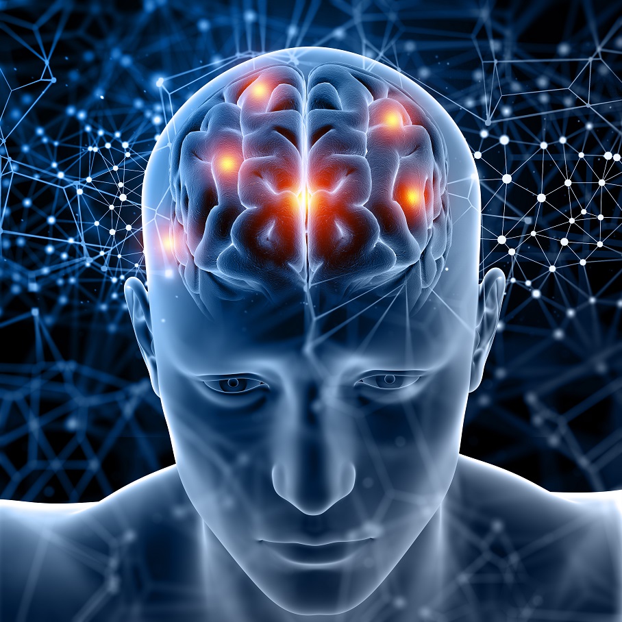 psicoinmunoterapia Potencia tu cerebro: la clave está en lo que comes