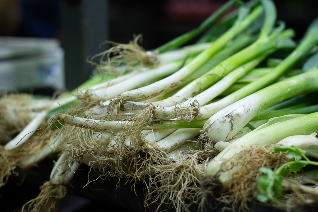 patacón con ensalada de cangrejo