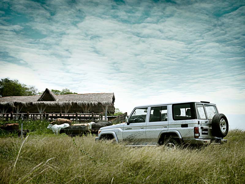 Land Cruiser