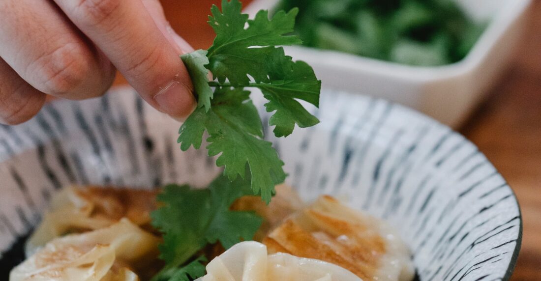 cilantro
