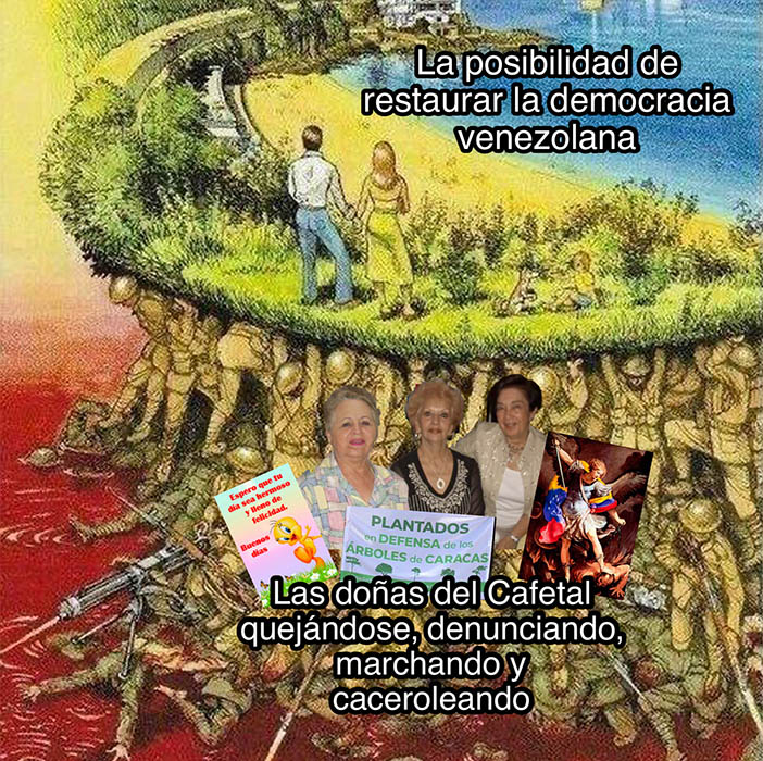 señora