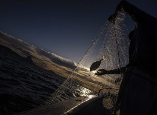 CARL DE SOUZA / AFP