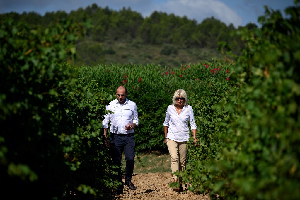 viticultores