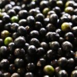 açaí o manaca