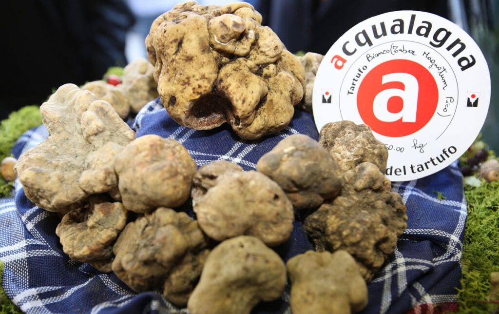 las marcas Le Marche