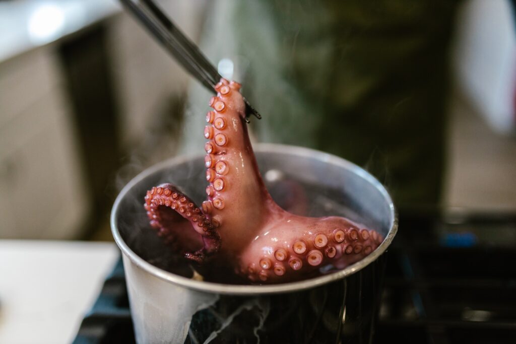 pulpo