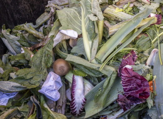 Desperdicio de alimentos