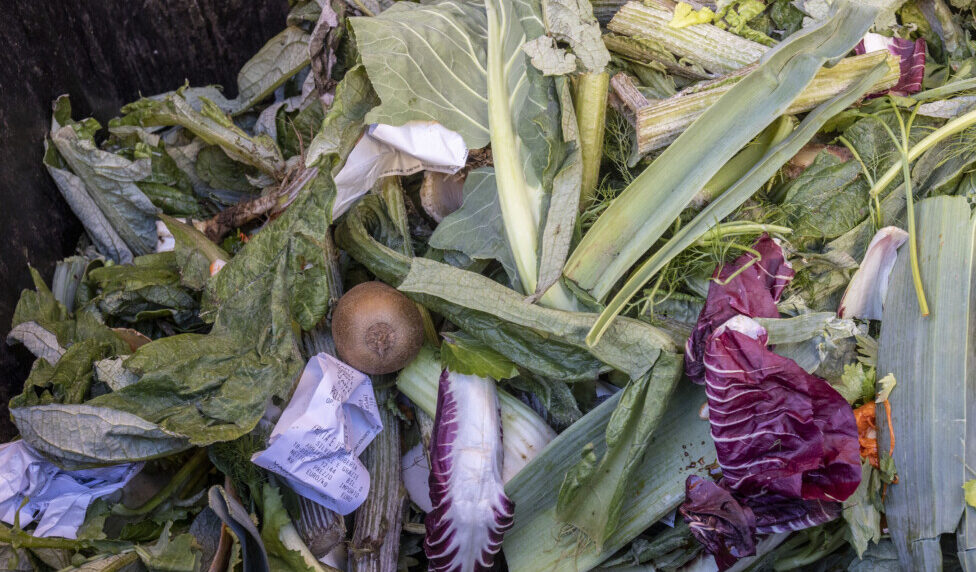 Desperdicio de alimentos