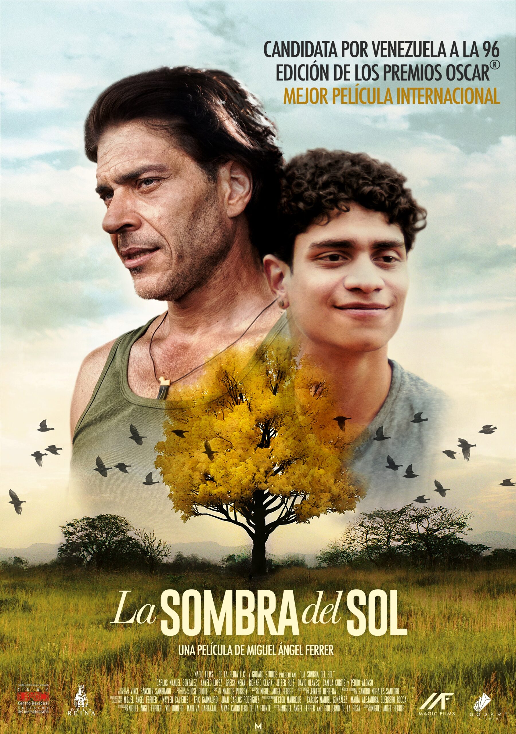 “La sombra del sol”, un viaje de Acarigua al Oscar con una historia ...