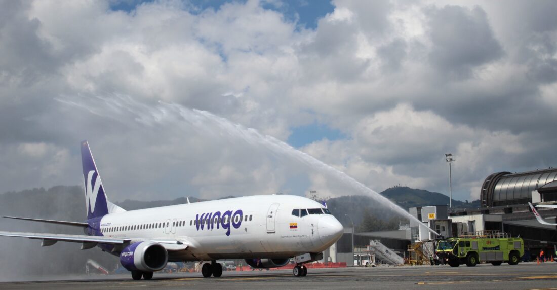 Wingo