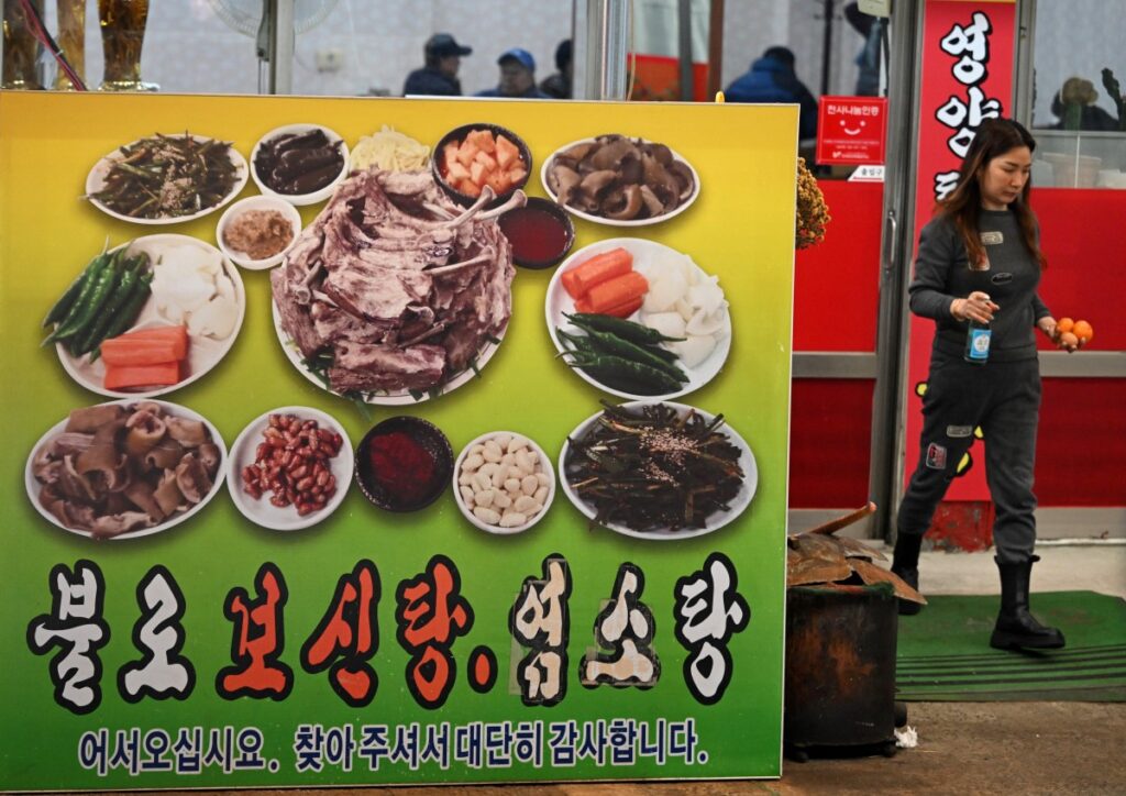 carne de perro