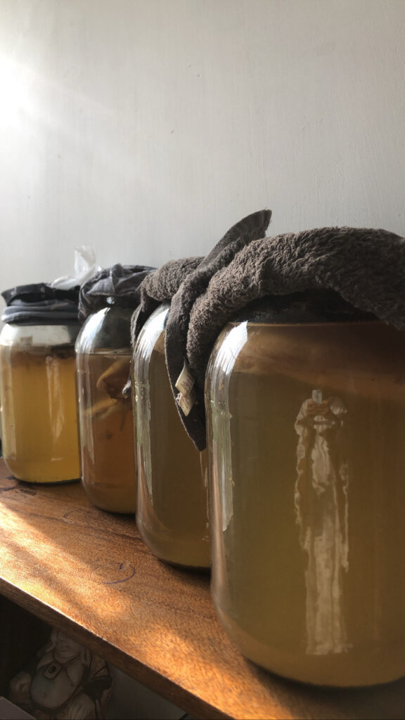 simbiosis gastronómica