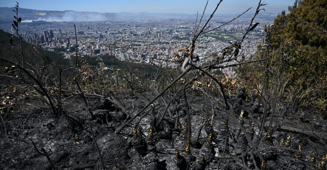 cOLOMBIA AGOBIADA PORINCENDIOS