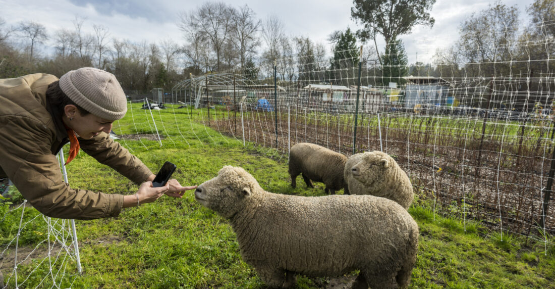 Facebook y las relaciones sociales. AFP foto